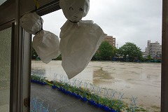 雨